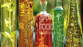 Oils and Organic Oils