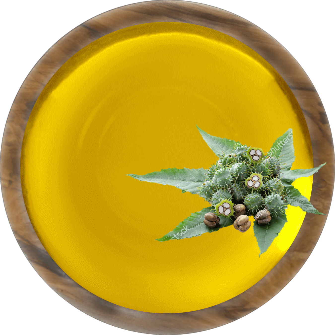 castor oil 