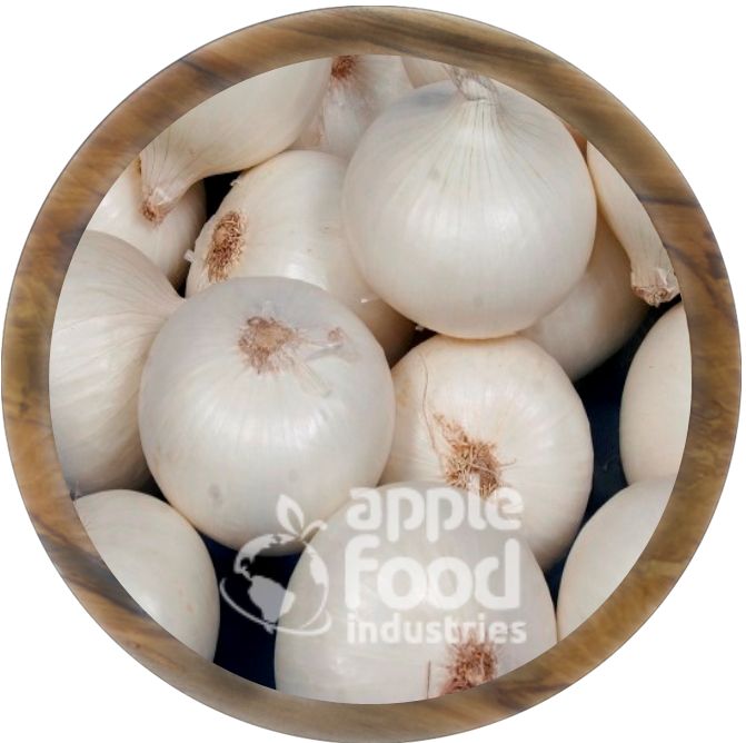 Fresh White Onion 