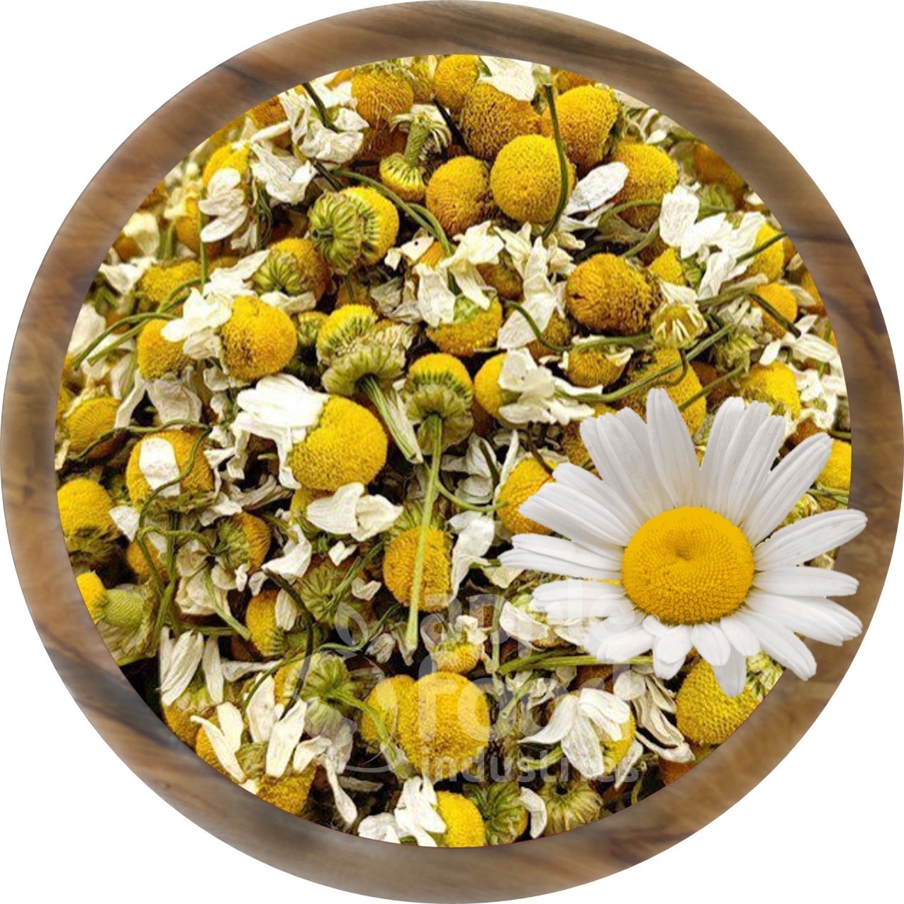 Dried Chamomile Flowers